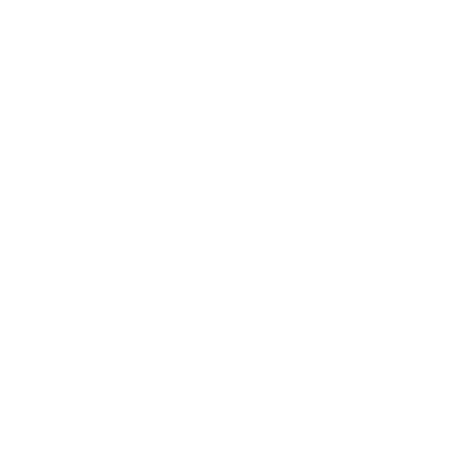 Connections logo
